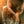 Load image into Gallery viewer, Gladiator 2 2024 Movie Teaser Poster