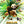 Load image into Gallery viewer, Kung Fu Panda 4 2024 Teaser Movie Poster