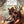 Load image into Gallery viewer, Rebel Moon - Part Two The Scargiver 2024 TV Poster