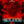 Load image into Gallery viewer, Stranger Things 5 2025 Series Teaser Poster