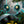 Load image into Gallery viewer, The Wild Robot 2024 Teaser Movie Poster