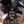 Load image into Gallery viewer, Venom The Last Dance 2024 Movie Teaser Poster