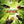 Load image into Gallery viewer, The Lego Ninjago Movie Poster