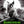 Load image into Gallery viewer, Frankenweenie 2012 Movie Poster