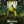 Load image into Gallery viewer, Breaking Bad All Hail The King Series Poster