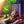 Load image into Gallery viewer, I Am Groot 2022 TV Series Teaser Poster