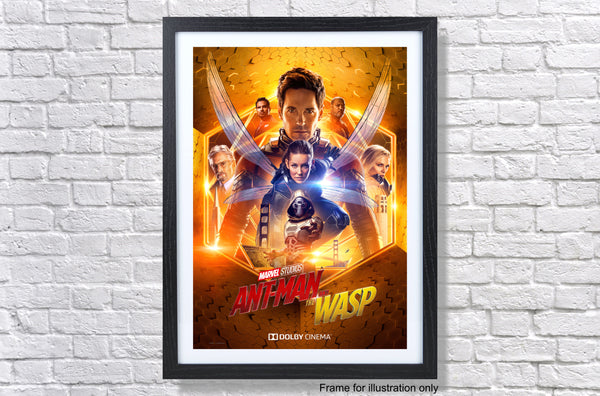 Antman And The Wasp Dolby Movie Poster