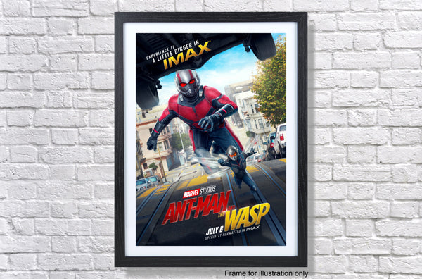 Antman And The Wasp Imax Movie Poster