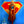 Load image into Gallery viewer, Supergirl 2026 Movie Teaser Poster
