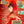 Load image into Gallery viewer, Taylor Swift The Official Release Party Of A Showgirl 2025 Poster
