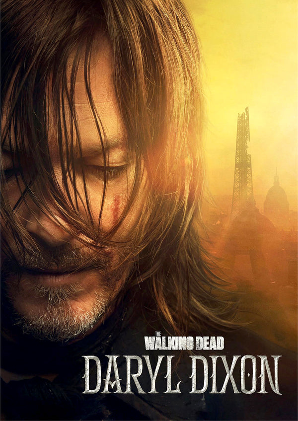 The Walking Dead Daryl Dixon Poster