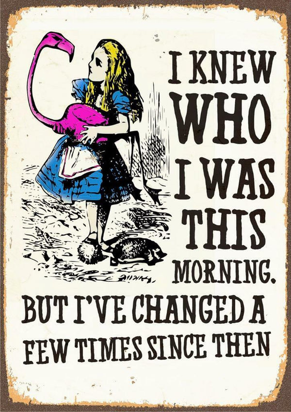 Alice In Wonderland I Have Changed - Vintage Classic Poster Print