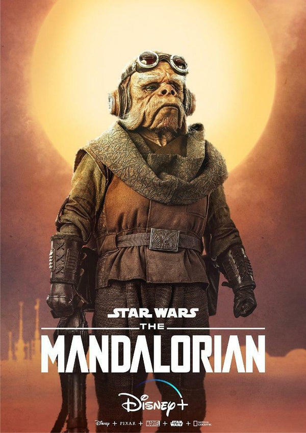 Star Wars The Mandalorian Kuiil Poster