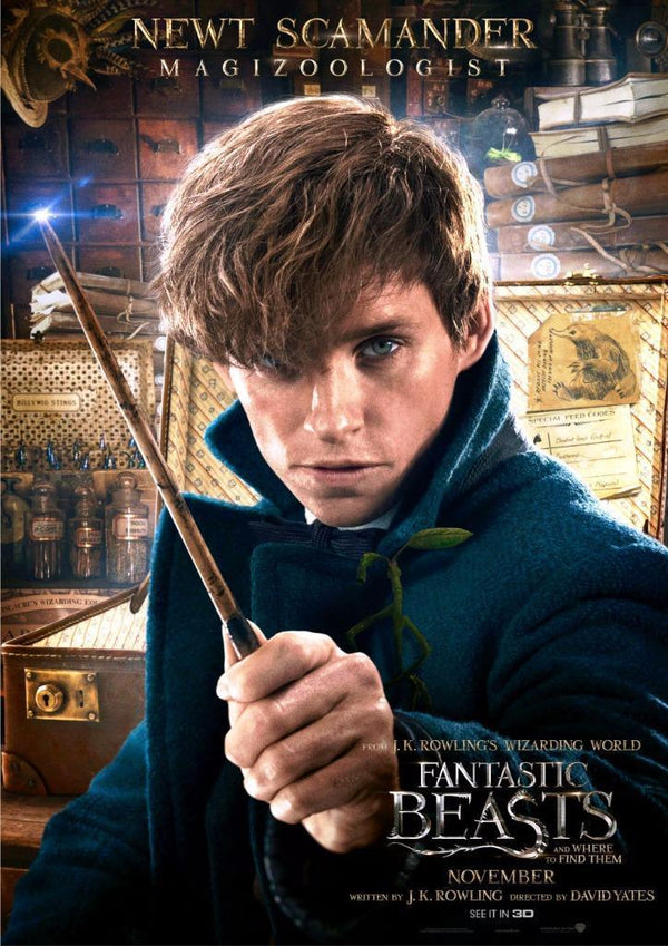 Fantastic Beasts And Where To Find Them Newt Scamander Poster