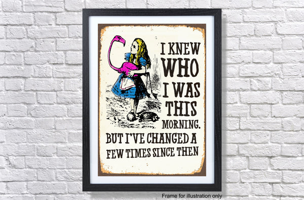 Alice In Wonderland I Have Changed - Vintage Classic Poster Print