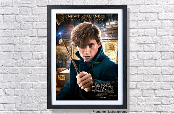 Fantastic Beasts And Where To Find Them Newt Scamander Poster