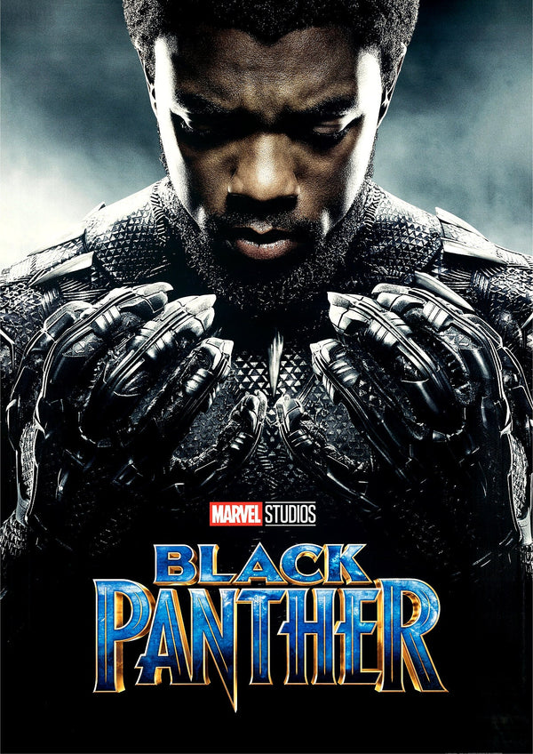 Black Panther Chadwick Boseman 2018 Poster