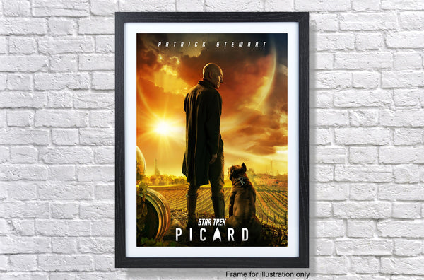 Star Trek Picard Series Poster