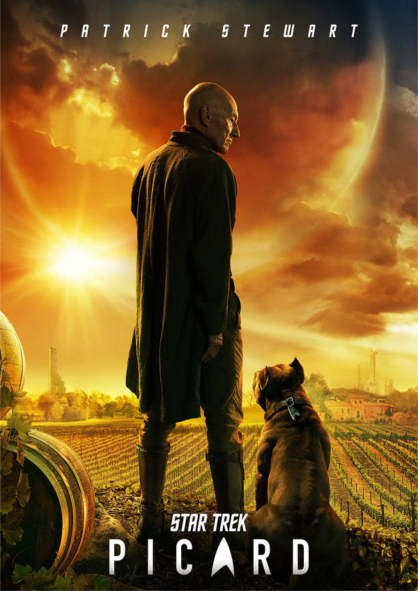 Star Trek Picard Series Poster