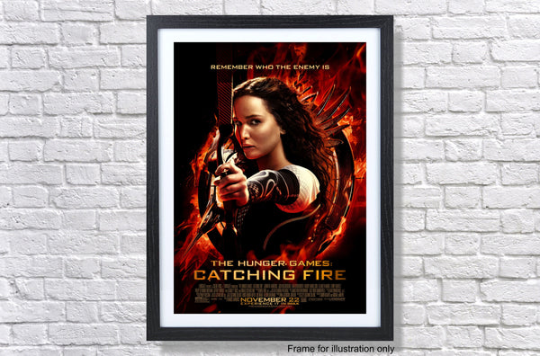 The Hunger Games Catching Fire 2013 Movie Poster